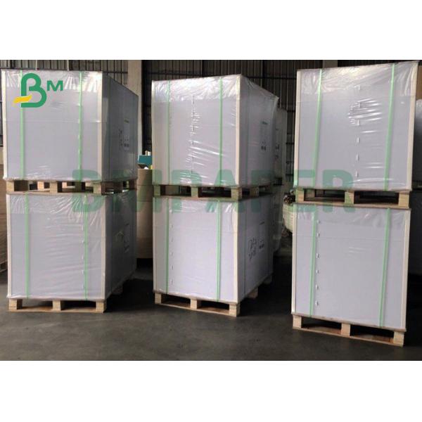 190 - 350 gsm Cup based Paper Bowl For Foldable Food Packaging