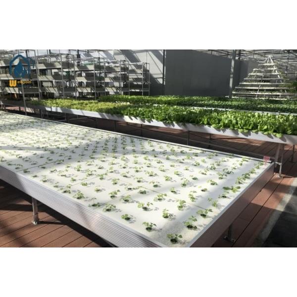 ABS Ebb And Flow Rolling Benches Customized Greenhouse Seedling Trays Adjustable