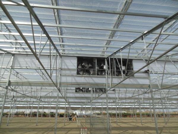 Multi Span Plastic Film Greenhouse 10X30m With Zinc Coating Frame