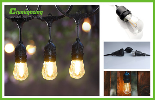 Hot sale Chinlighting ST45 S14  Festoon LED String Light for outdoor decoration