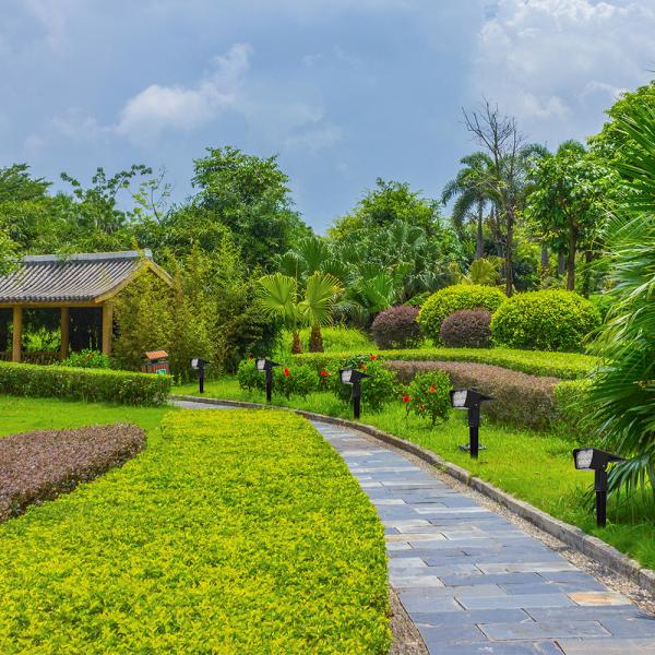 20000hour 300lm Outdoor LED Solar Garden Light 180 Degree Beam Angle