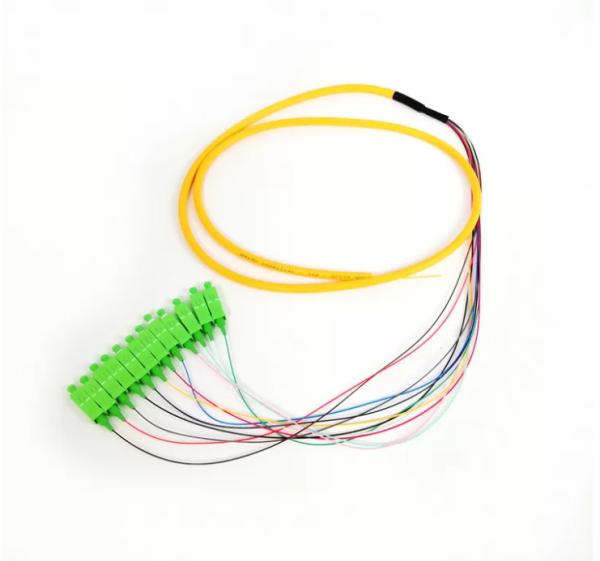 1M Fan Out Patch Cord 12 Cores SC UPC Duplex Pigtail