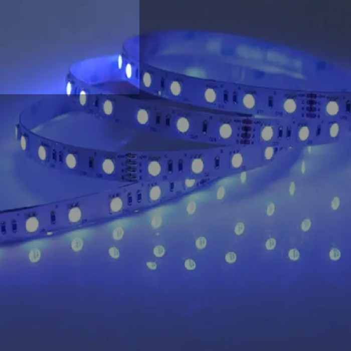 Прокладка 12V/24V IP20/IP65 СИД CCIP пурпурная UVA UVC делает 5050 SMD водостойким 20m/Roll