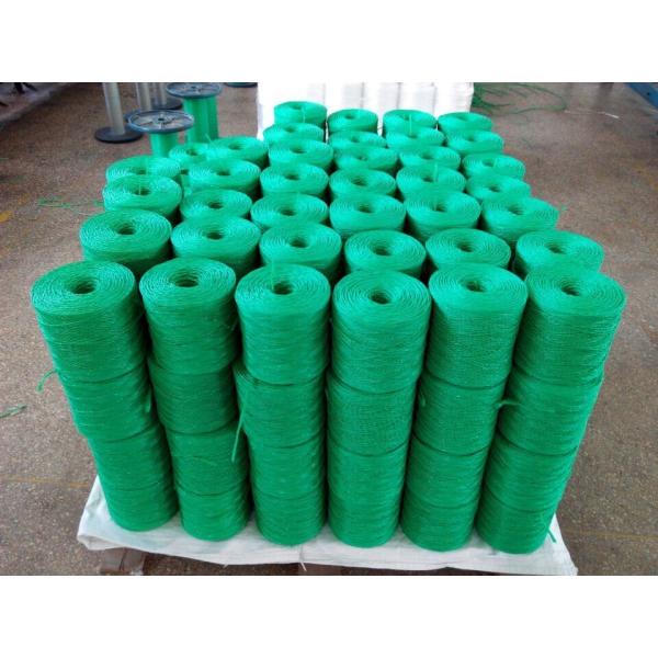 UV Resistant Polypropylene Tying Twine with High Tensile Strength (105KGF - 250KGF) and Customizable Length for Greenhouse and Agriculture