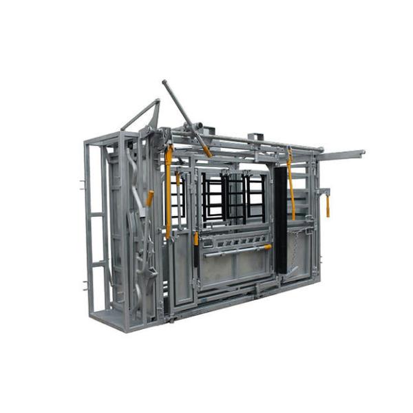 With Weighing Scale Heavy Duty Cattle Crush Panel With Controlling The Cows Body