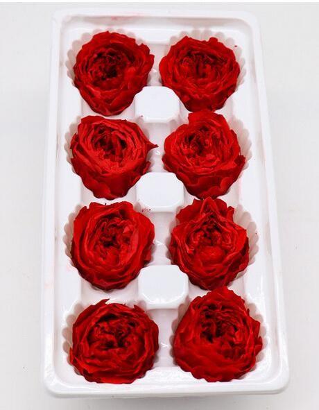 A longa vida preservou ornamento do feriado de Rose Flower Fantastic For Crafting