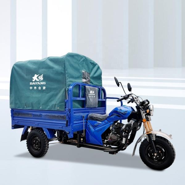 400kg Payload Capacity 200cc Petrol Cargo Tricycle for Cargo Transportation