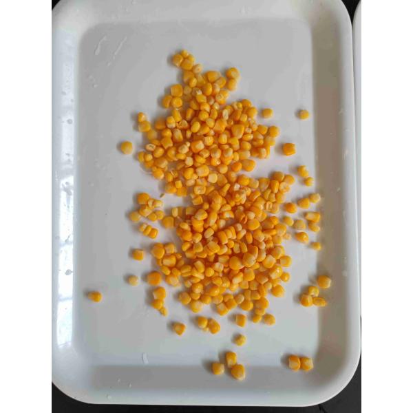 Maíz dulce en poder 24 meses de sabor delicioso de la vida útil