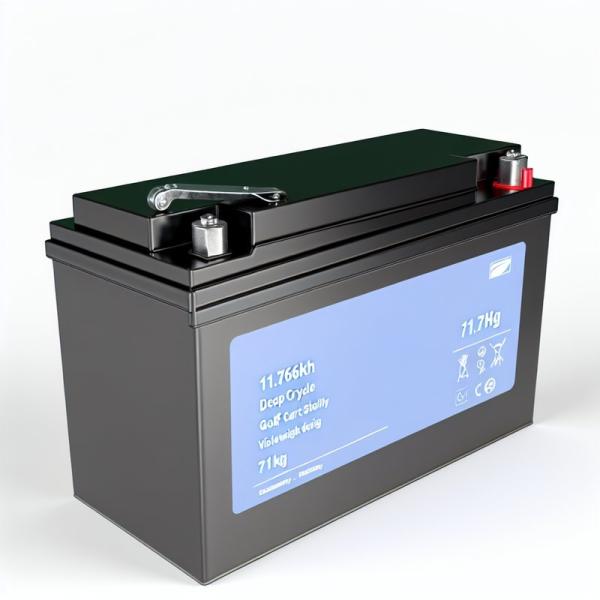 51.2V 230Ah ゴルフカート LiFePO4 バッテリー スマートBMS 11.8kWh