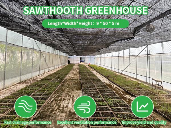 Baolida Sawtooth Greenhouse Cross Roof Agricultural Greenhouse Serre Agricole 