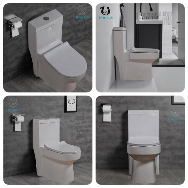 Canadian Single Piece Wall Mounted Commode One Piece Wc 650*360*740mm