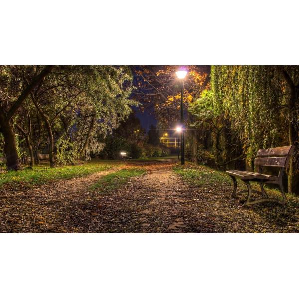 Mini Dimension LED Street Lighting 20 - 30w For Landscape Park / Walkway