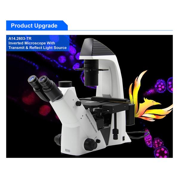 ВФ10кс/22мм Тринокулар перевернуло биологический микроскоп А14.2603 кинтупле большого диаметра