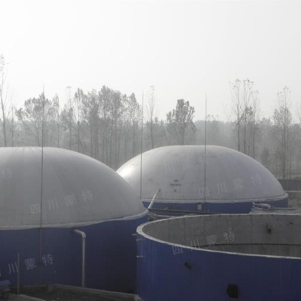 Roof Top Double Membrane Gas Holder Sphere Shape For Biogas Storage