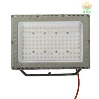 L'éclairage extérieur LED à LED IP66 couleur personnalisée 100-277V Marché 100W