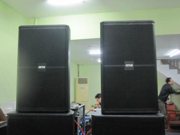 15 Plywood Cabinet Live Performance Speakers , Live Audio Equipment 136dB