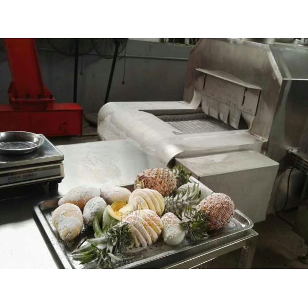 Морепродуктов замораживателя замораживания транспортера охладитель 2000kg/H 2500kg/H взрыва быстрых коммерчески