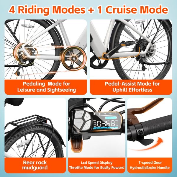 TST M614 250W Electric City Bike for Adults 36V/10.4Ah Removable Battery 7 Speed Steel Frame Electric City Bike for Urban Use