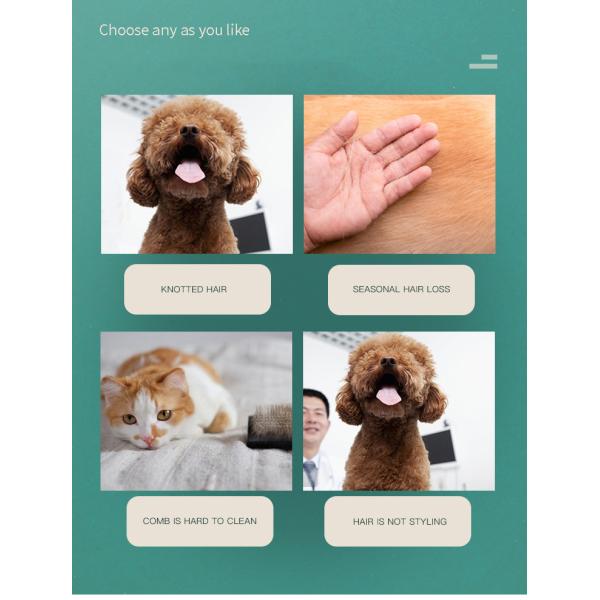 Portable Pet Hair Remover Brush Self Cleaning Slicker Comb Reusable Hair Cleaning