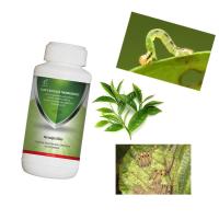 Insecticide à usage général Insecticide pour plantes végétales EoNPV & Bt SC