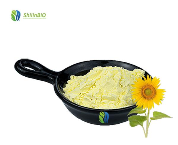 Sunflower Seed extract 98% Sunflower Lecithin Powder