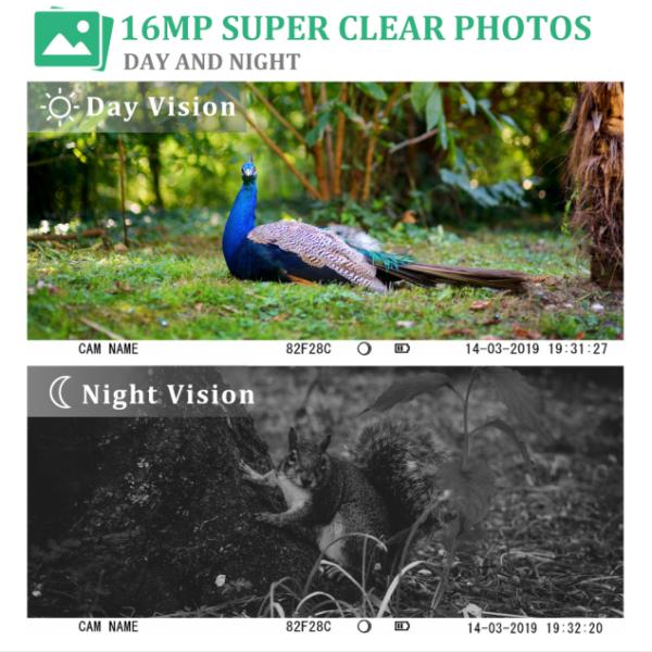 Камера следа живой природы наблюдения 1080P безопасностью камер водоустойчивой ловушки фото ультракрасная охотясь