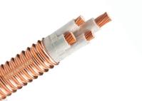 noyau résistant au feu du câble 4 de bande de mica de la sécurité 0.6/1KV élevée pour des lieux publics