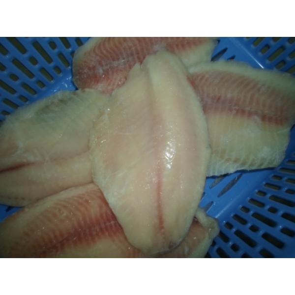 Морепродукты начала Таиланда свежие, который замерли/замерли большей частью, который филе тилапии рыб