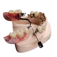 Resistente à corrosão natural bonito da dentadura do acessório da precisão Mk1