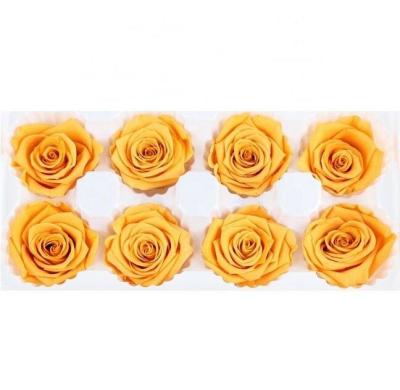 Cabeças de flor preservadas decorativas, Rose Flower Heads Multiple Color bonita