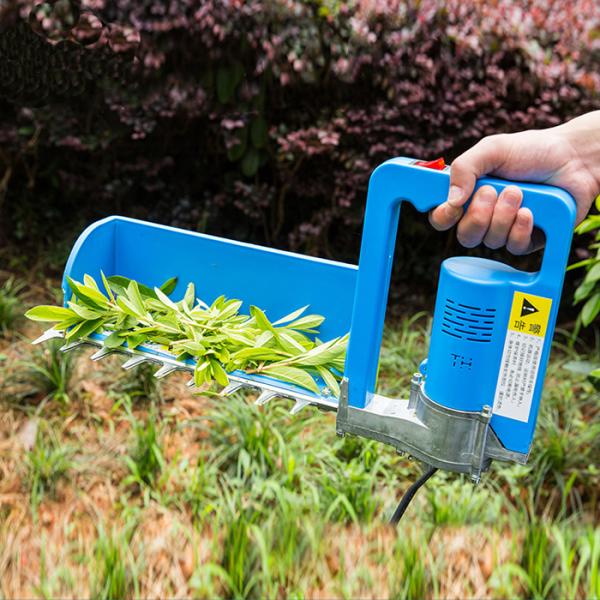 Чай машины жатки лист чая свинцовокислотной батареи 1950RPM DC 24V 8Ah комплектуя 300MM