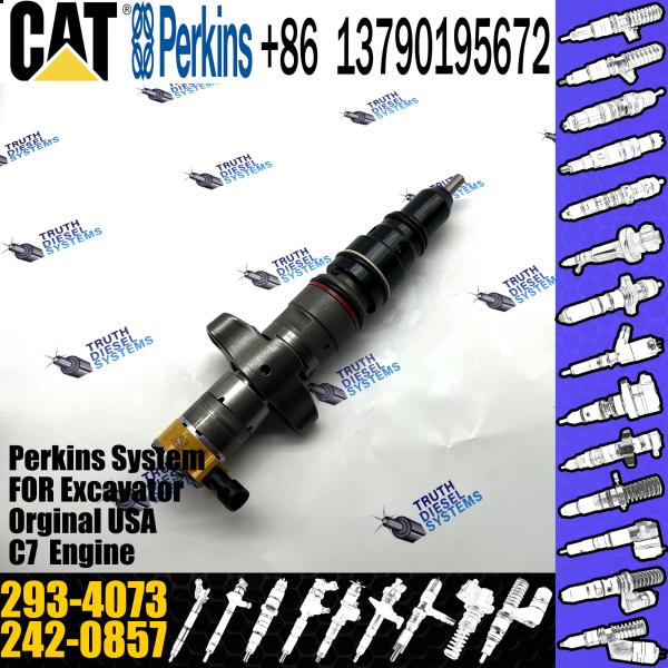 Diesel Engine Perkins Diesel Injector 293-4073 293-4073 Cat C9 Injector 324D 325D