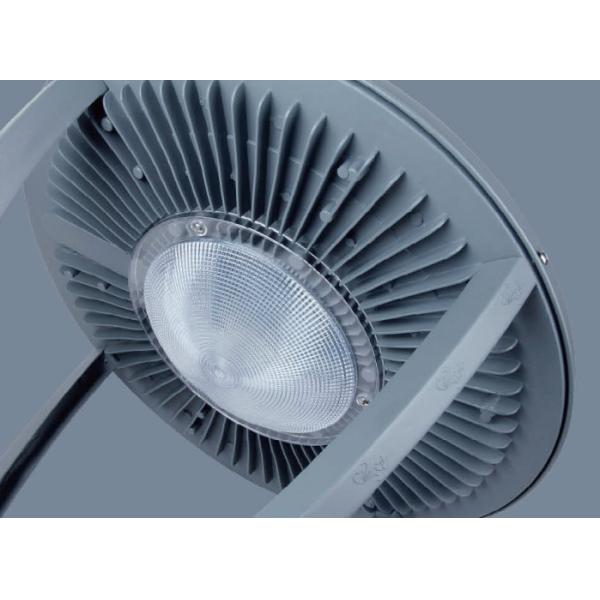 60W LED Garden Light Fixtures Die-cast Aluminium Material cable 3 For Parks,Squares Garden Landscape Lighting