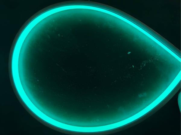 50 mètres de 12V 24V Maldives de vert de bande au néon du silicone LED