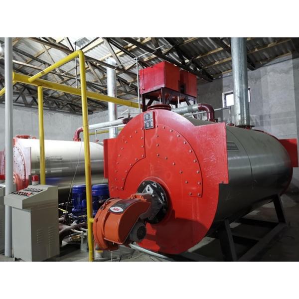 4.0-8.0M Height Agriculture Multi Span Plastic Film Greenhouse For Tomato Turnkey Project