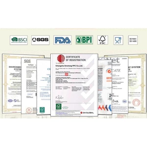 Regular Base Supply Simple Style Disposable Paper Cup 8oz 260g 18 PE 250 Double Wall