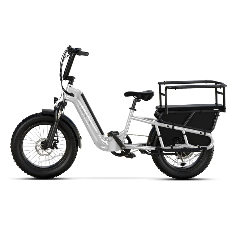 20 Inch Fat Tire Rack for Carrying Goods & Passengers, Powerful Motor, Long Range Long Tail Electric Bike with Cargo