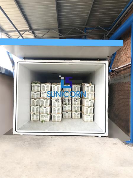 One Pallet Vacuum Cooling Machine , Vegetable / Flower Cooling Chamber