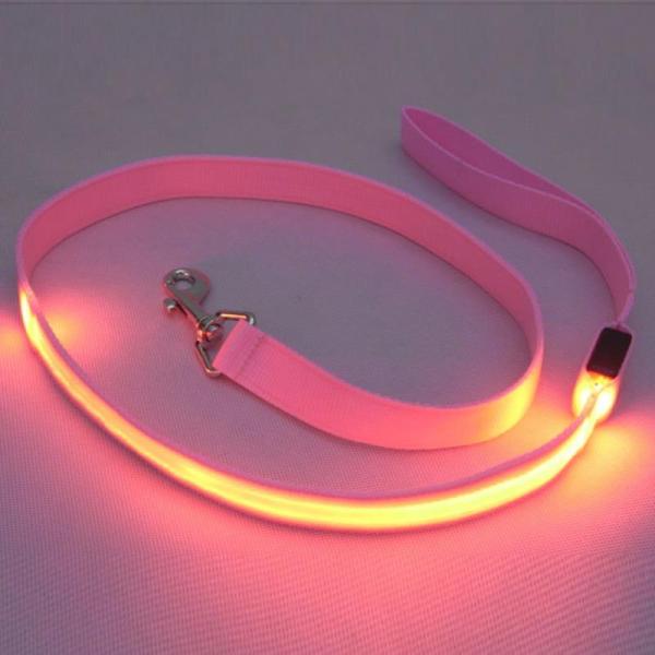 LED lighted dog training leashes Night Safety Training Pet Lead Leashes china factory