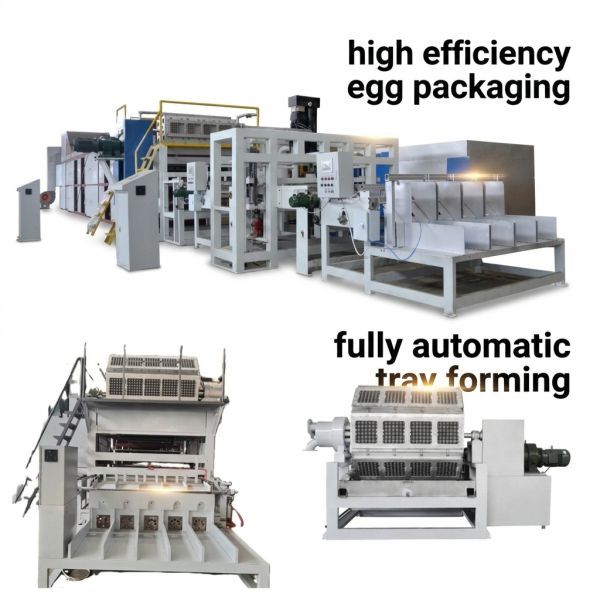 4000-6000pcs/h Apple Tray Egg Paper Tray Making Machine Energy Saving