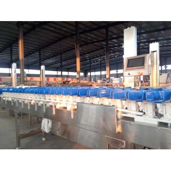 Fruit Vegetable Avocado Grader Grading Machine Weight Sorter Machine Commercial