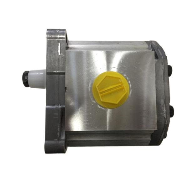 Danfoss Gear Pump 111.25.071.0C SNP3NN 055RN01BA P1F6F6NNNN NNNNN 28N0V High Performance Output