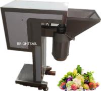 puré de 800kg/H 1000kg/H SUS304/420 que faz a máquina