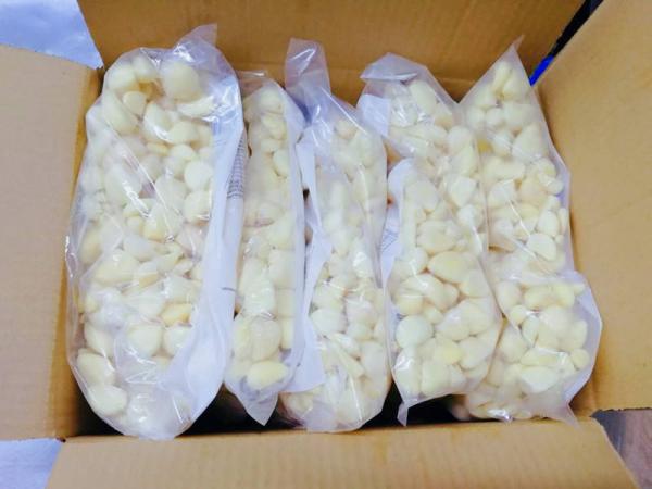 Wholesale Garlic with Fresh Taste and Long Shelf Life Frozen Garlic