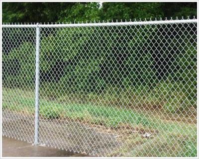 Diâmetro galvanizado mergulhado quente de Mesh Fence 2.5mm do fio do ciclone