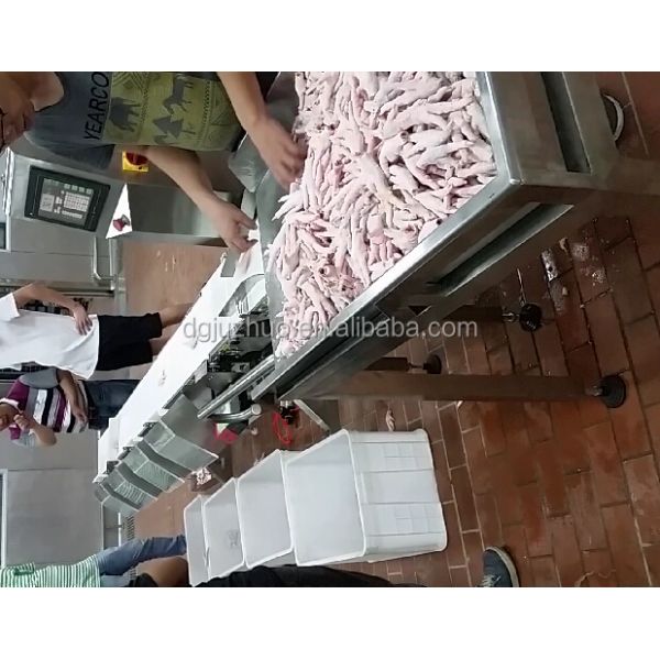 Industrial Grade Conveyor Belt Metal Detector Checkweigher Machine System JZ-W1200g
