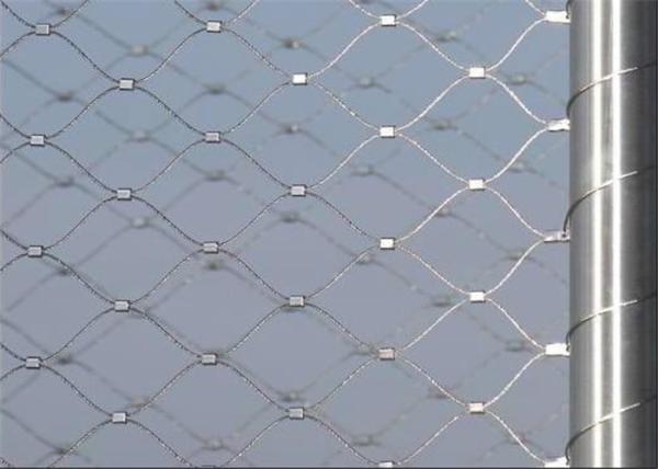 Diamond Animal Wire Mesh Stainless Steel With Polishing Surface Treatment