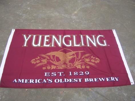 Marketing Promotional Flags Advertising Banner Flags Angled Straight B1 Fire Proof