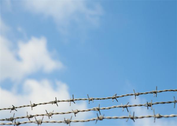 Anti - Climb Wall Spike Security Barbed Wire , Iron Wire Razor Barbed Tape