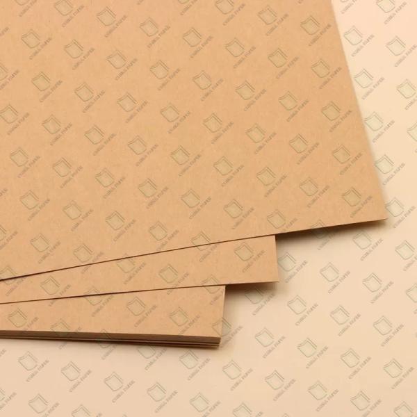 Uncoated Kraft Paper Rolls